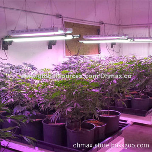New Hi-Tech LED Grow Lights, with Full Color System, for Medicinal Plants Growth